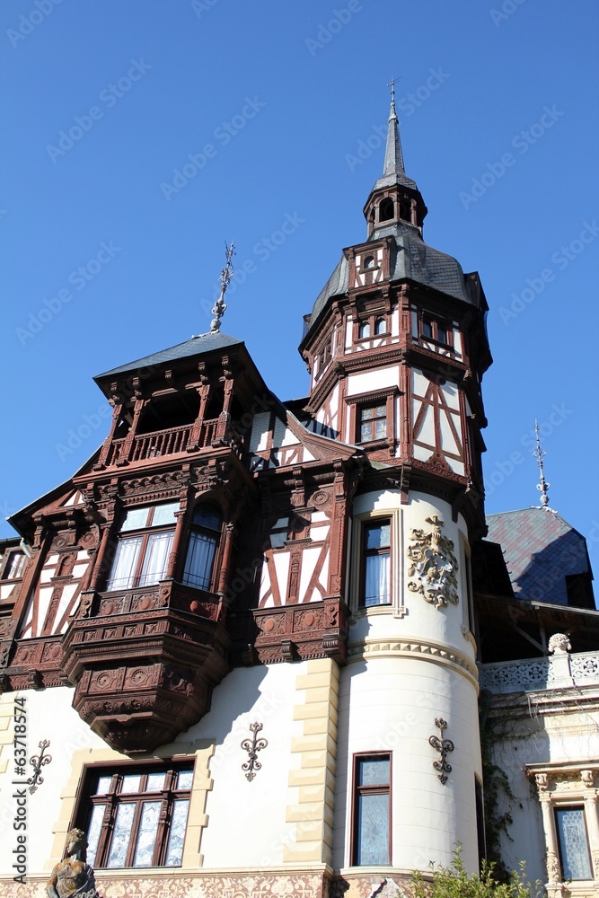 Obraz premium Peles Castle - Details