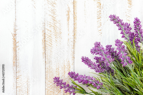 Fototapeta Naklejka Na Ścianę i Meble -  Lavender