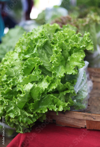 market lettuce