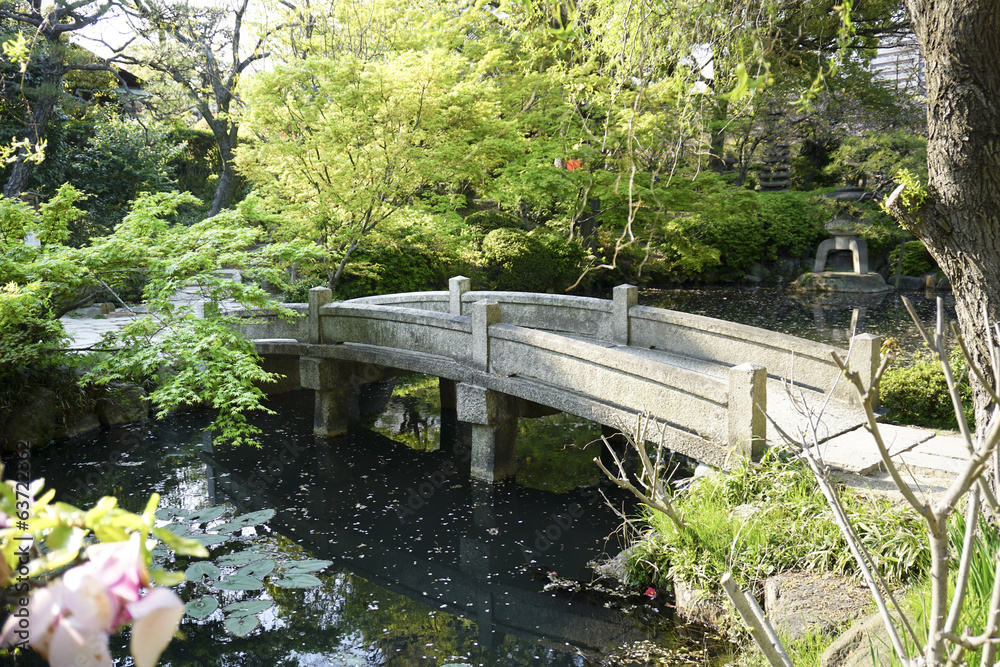 Fototapeta premium 日本庭園