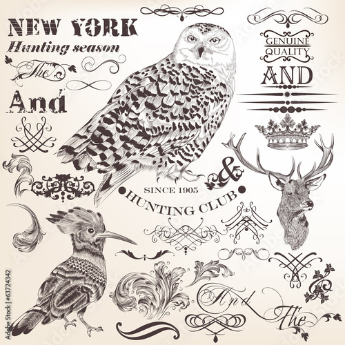 Set of vector flourishes and hand drawn elements in vintage styl