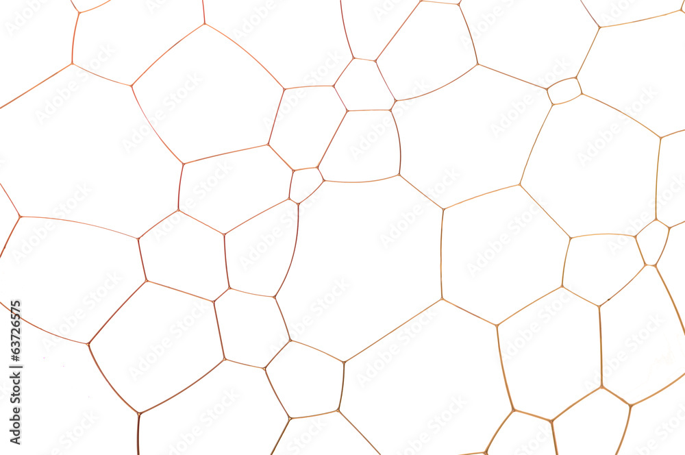 Cell