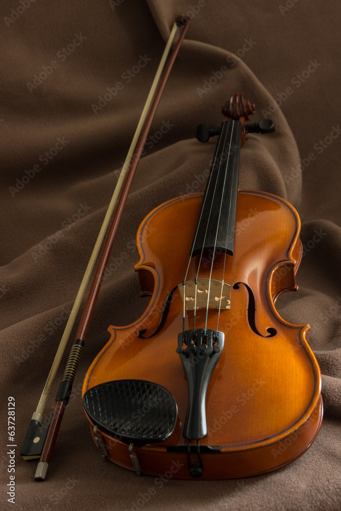 Fototapeta premium Violino