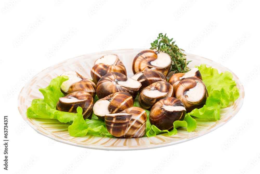 Escargot Escargot