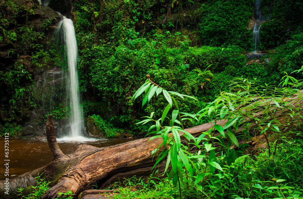 Obraz premium Wodospad parku narodowego Doi Suphet, Chang Mai, Tajlandia