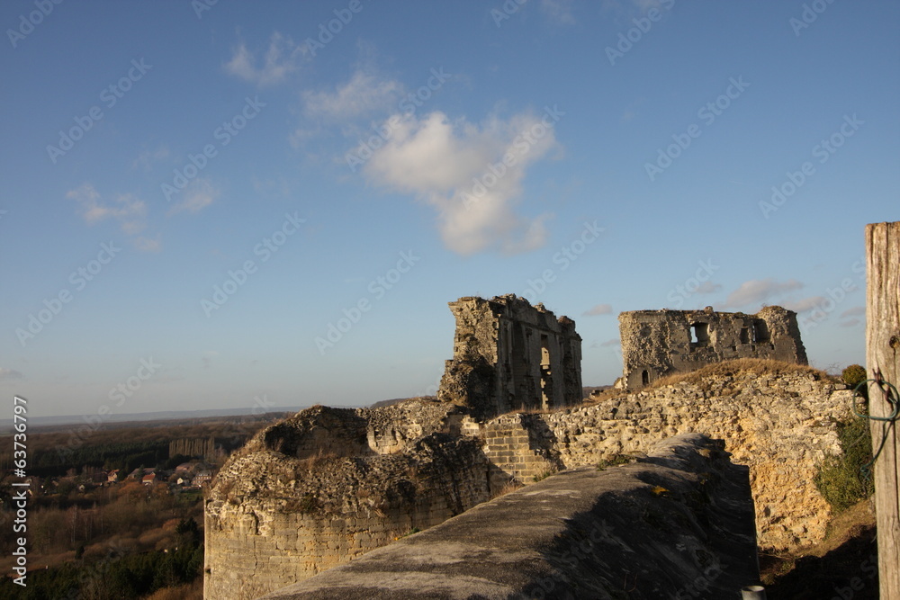 Chateau en ruine,Coucy-le-chateau