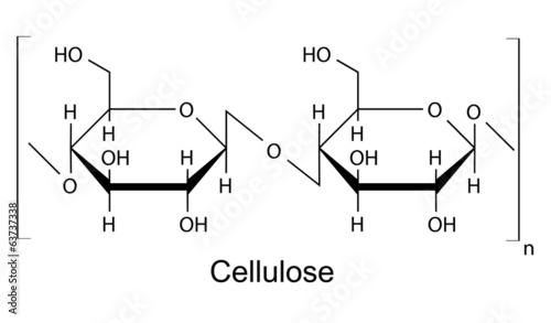 The structural formula of cellulose polymer photo