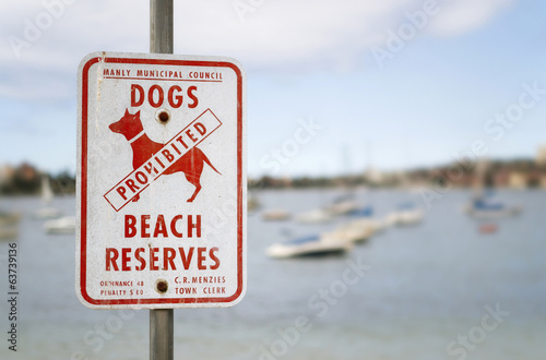 Dogs prohibited