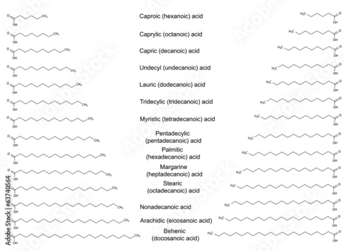 Сhemical structural formulas of the major saturated fatty acids