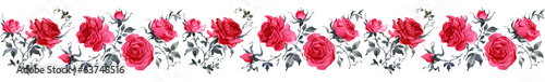 Watercolor Roses seamless border virginia