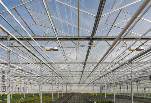 Glass roof of a big Dutch greenhouse