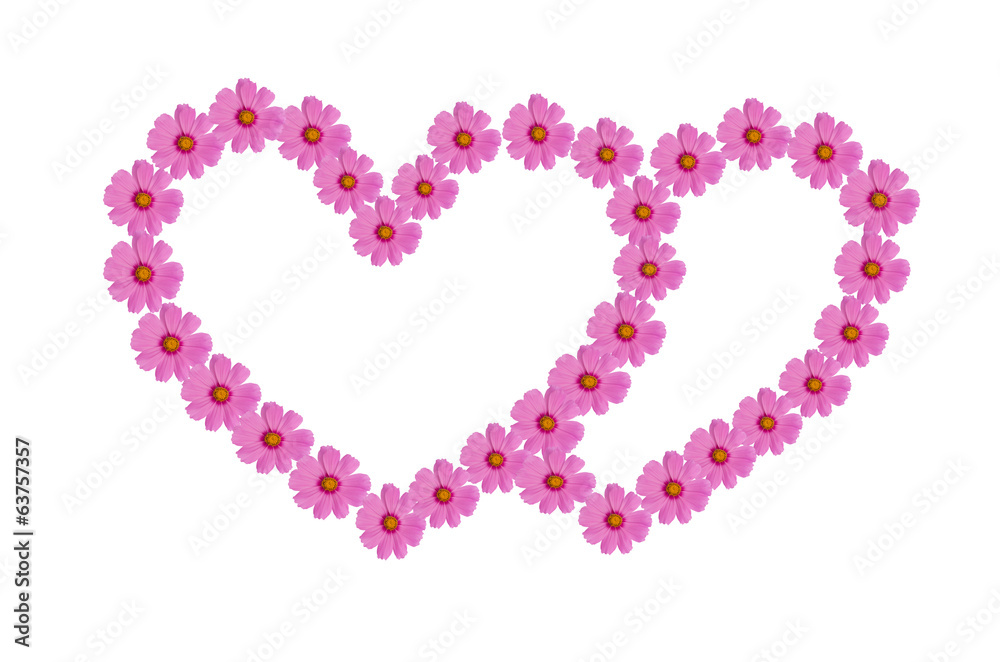 Cosmos heart Frame Cosmos heart Frame