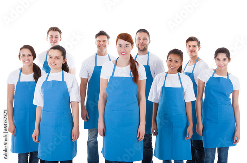 Diverse group of professional cleaners