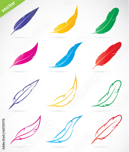 Vector group of colorful feather