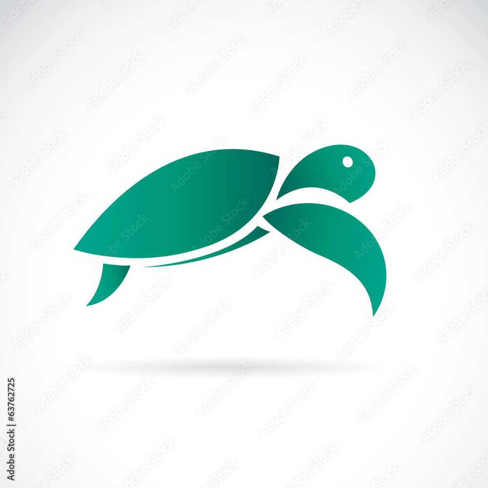 Obraz premium Vector of a turtle design on white background. Animals.