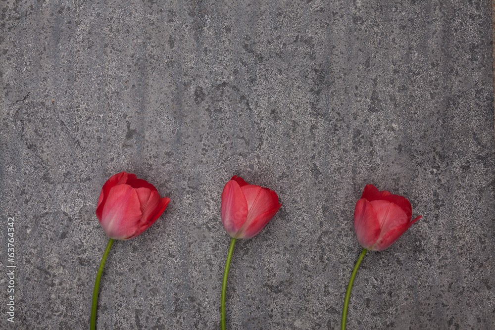 Three tulips on grey limestone background