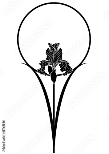 iris