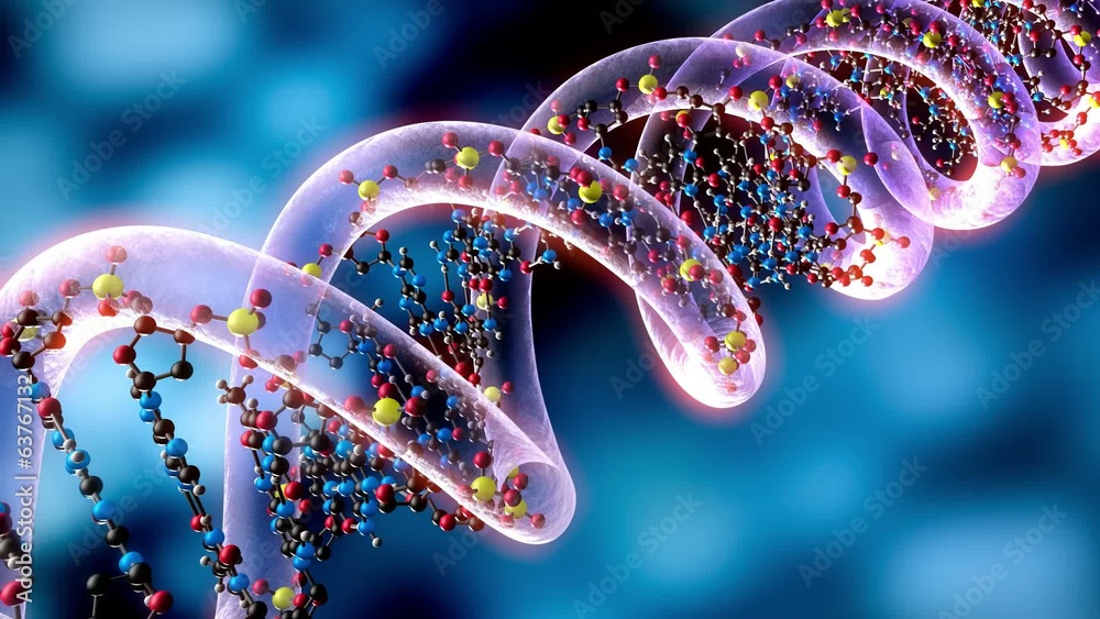 Drehende DNA Animation Loop