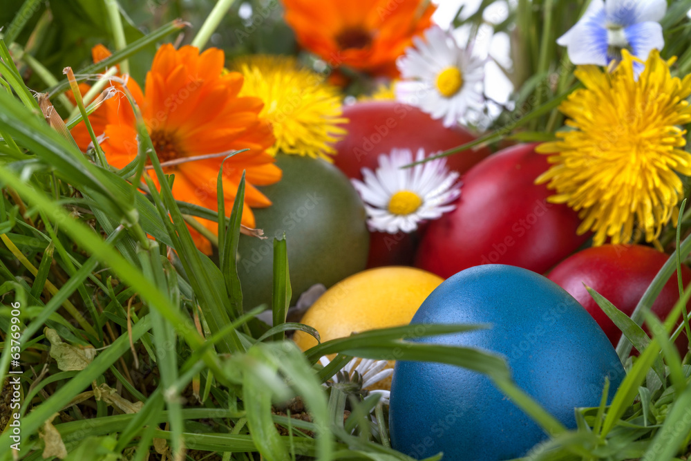 Colorful Easter eggs in the grass and flowers Colorful Easter eggs in the grass and flowers