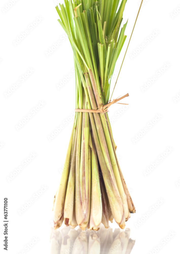 Fototapeta premium Lemon grass isolation