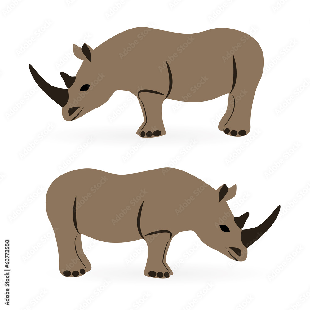 rhino