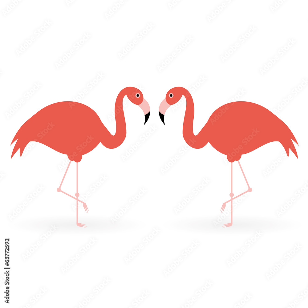 Obraz premium flamingo
