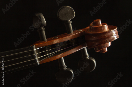 Violino photo