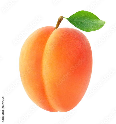 Isolated apricot. One fresh apricot fruit with leaf isolated on white background