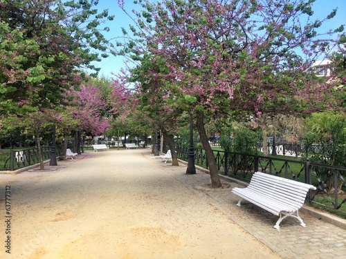 A bench in a park