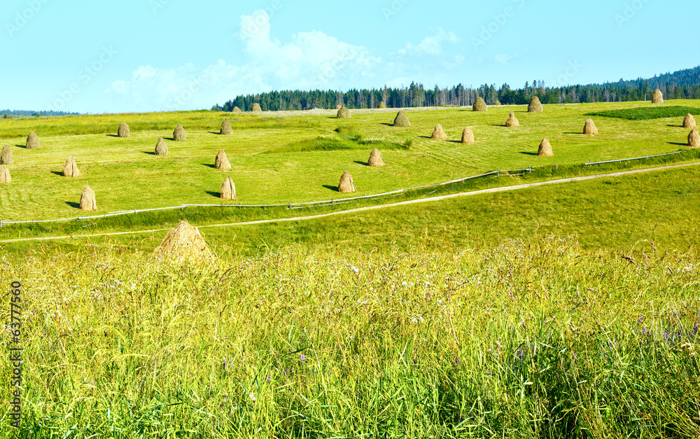 Summer mountain rural view with haystacks (Carpathian, Ukraine)