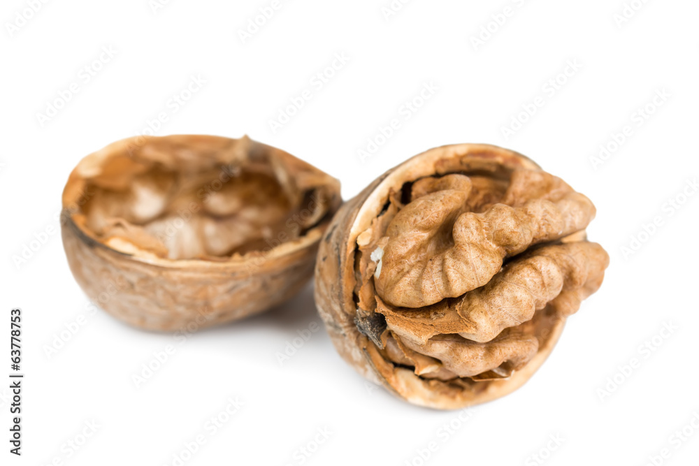 Walnuts in shell Walnuts in shell