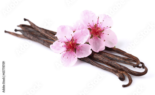 Vanilla pods with almond flowers