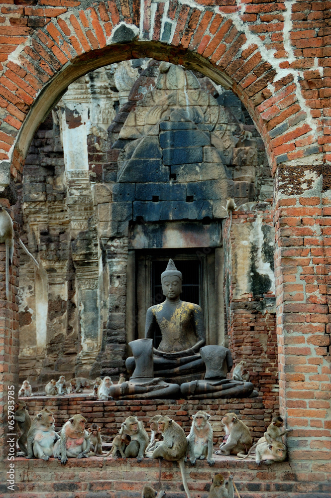 Obraz premium Monkey Temple - Lopburi