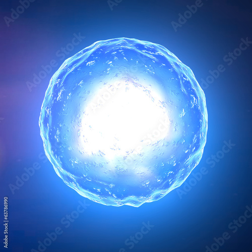 Ovulo cellula concepimento photo