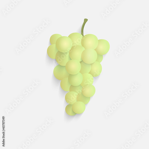 vector illustration of isolated grape.