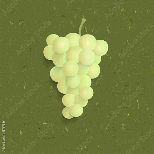 vector illustration of isolated grape.