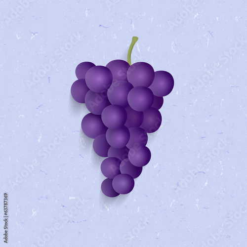 vector illustration of isolated grape.