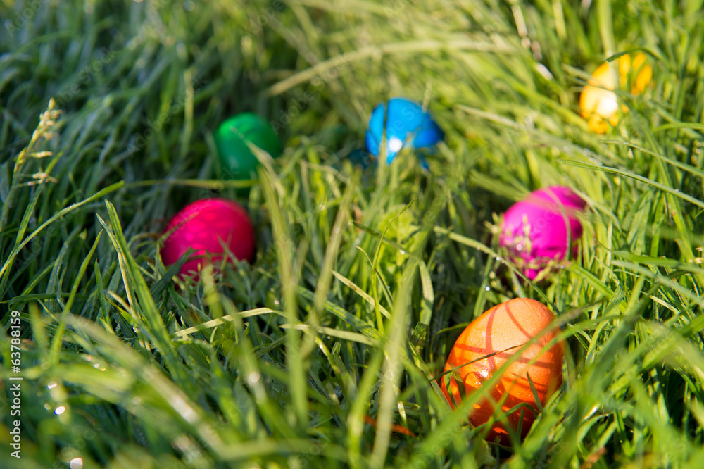 Easter eggs in grass