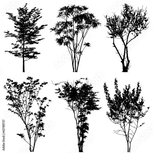 trees silhouettes