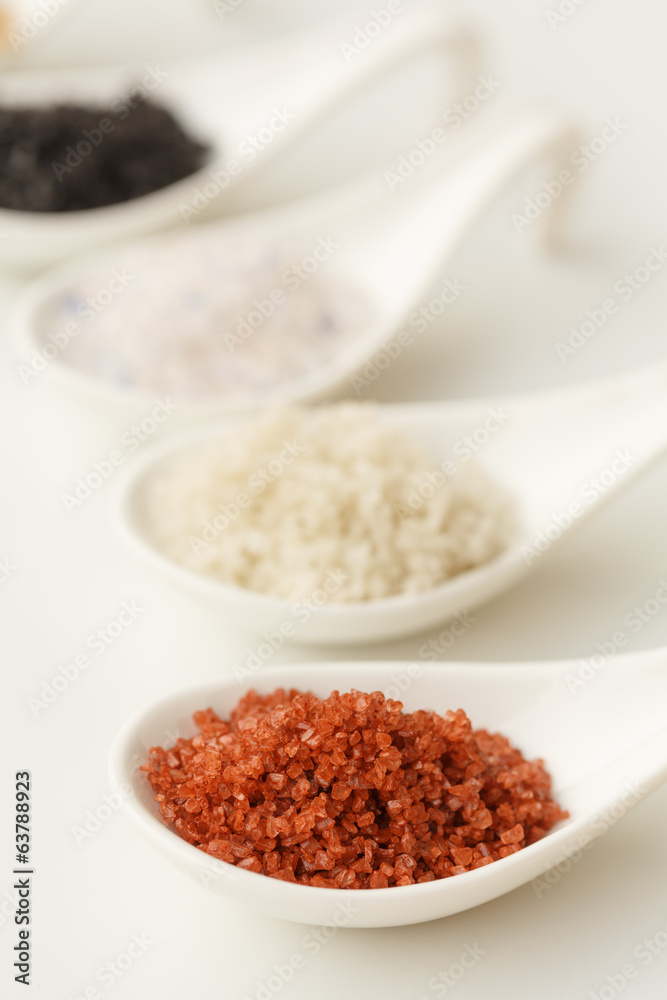 Variety of Different sea salts