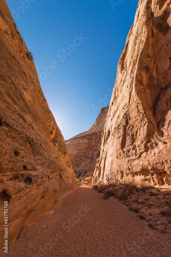 Grand Wash Canyon Utah