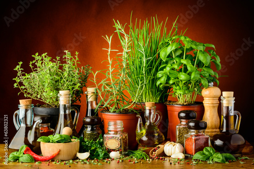 Still life with fresh green herbs and spices