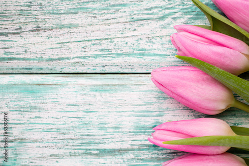 Fototapeta Naklejka Na Ścianę i Meble -  Tulip.