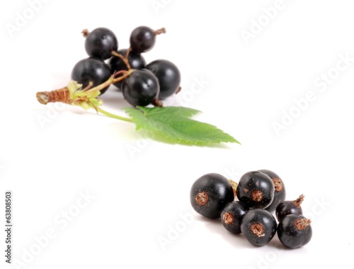 Schwarze Johannisbeeren