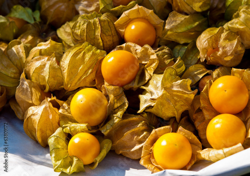 Cape gooseberry or Physalis peruviana L.