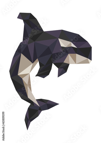 killer whale