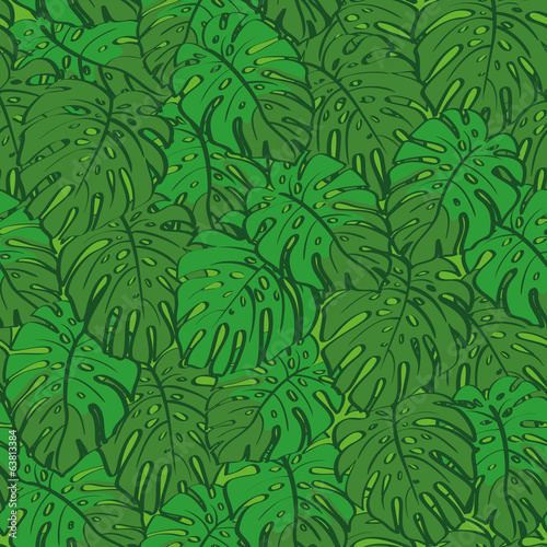 Seamless background  monstera green leaves