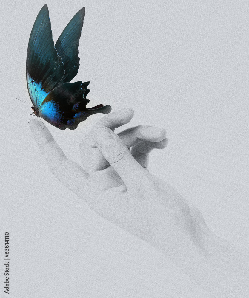Obraz premium butterfly on woman's hand. In motion