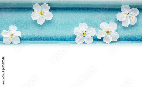 White flowers in blue bowl with water, spa, isolated