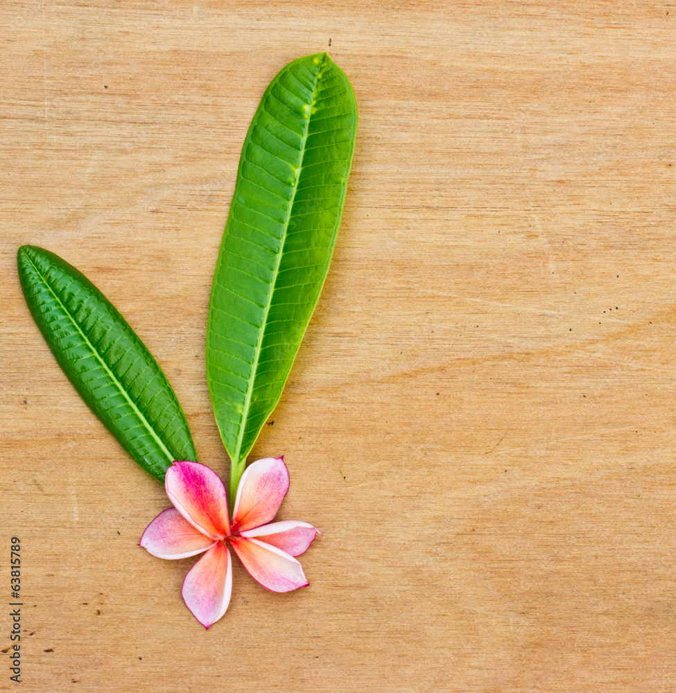 Fototapeta premium Pink Plumeria on wooden floor.